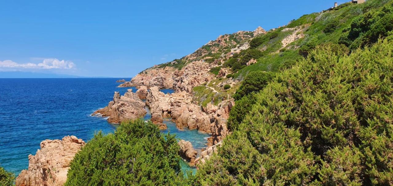 Appartamento Le Pleiadi Costa Paradiso Exteriör bild